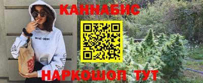 прущие грибы Будённовск