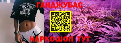 прущие грибы Будённовск