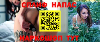 прущие грибы Будённовск