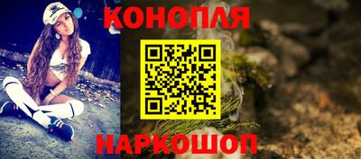 прущие грибы Будённовск