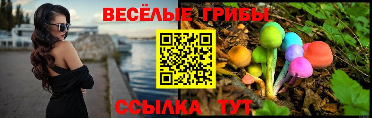 Галлюциногенные грибы мухоморы  Вход с VPN  Фрязино  магазин продажи наркотиков  Псилоцибиновые грибы Cubensis 