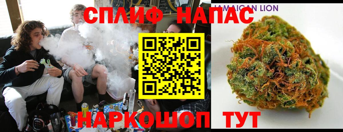 Каннабис OG Kush Фрязино